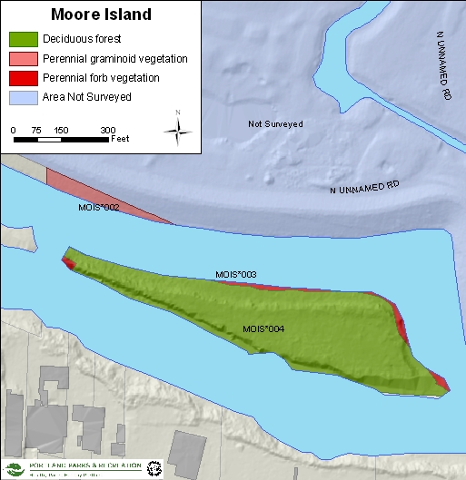 Moore Island