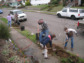 Habitat For Humanity Spring Break Programs